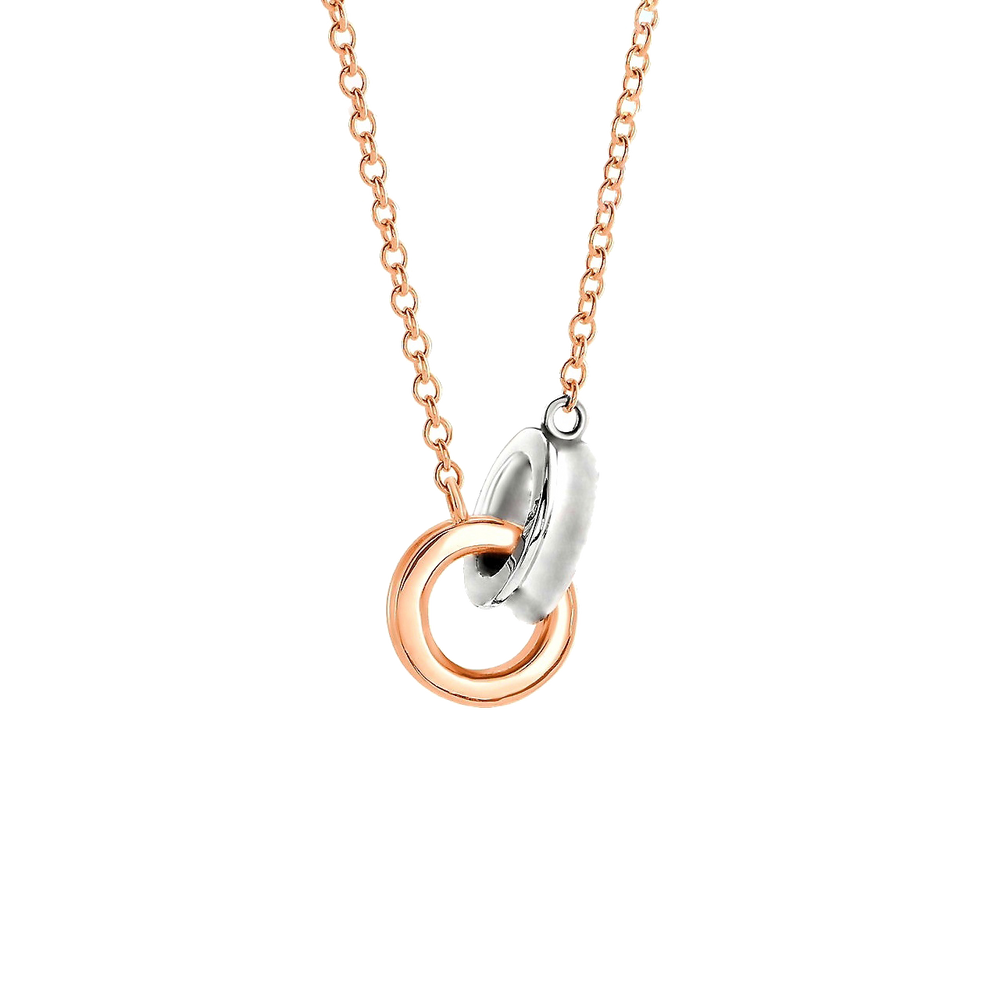Interlocking Circles Necklace